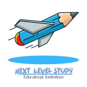 Next Level Study Logo